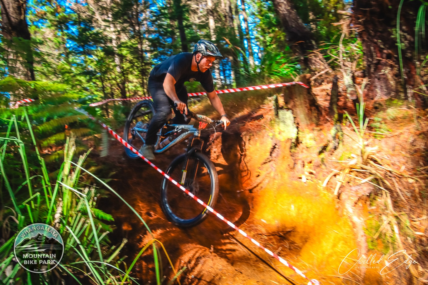 MTB
